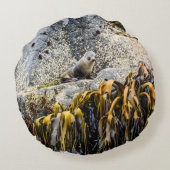 岩の上の若い毛皮のシール ラウンドクッション (裏面)