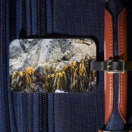 岩の上の若い毛皮のシール ラゲッジタグ