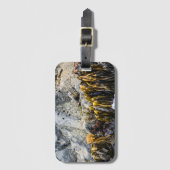 岩の上の若い毛皮のシール ラゲッジタグ (正面縦)