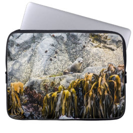 岩の上の若い毛皮のシール ラップトップスリーブ