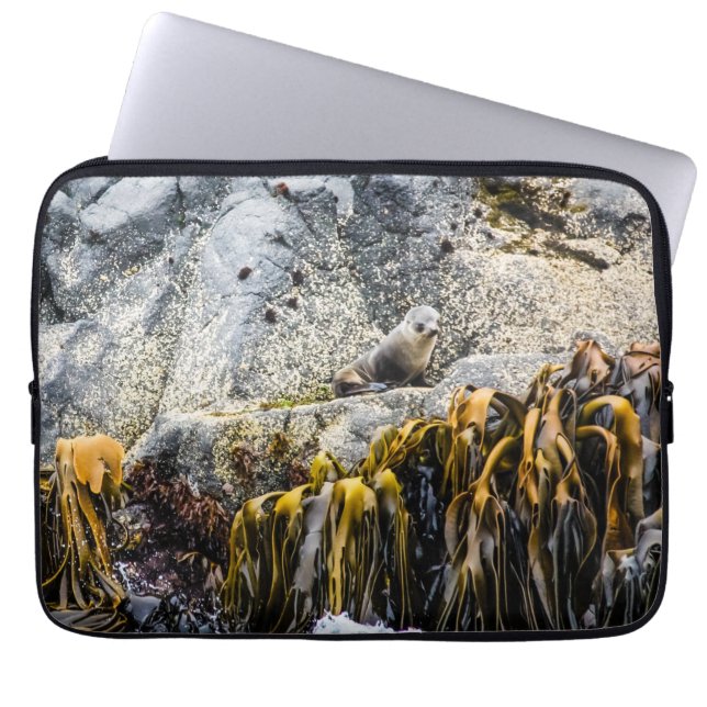 岩の上の若い毛皮のシール ラップトップスリーブ (正面)
