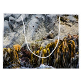 岩の上の若い毛皮のシール ラージペーパーバッグ (裏面)