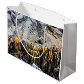 岩の上の若い毛皮のシール ラージペーパーバッグ (裏面アングル)