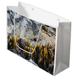 岩の上の若い毛皮のシール ラージペーパーバッグ