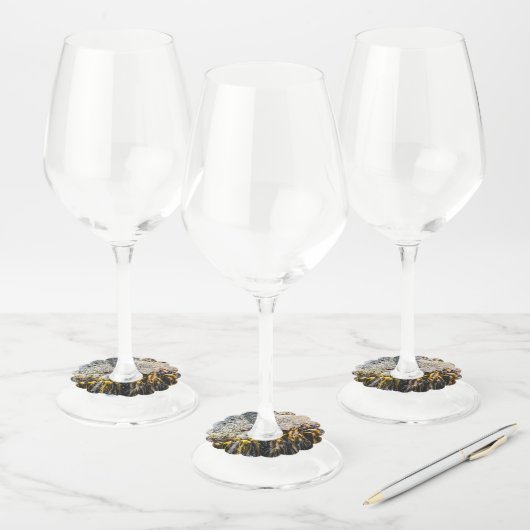 岩の上の若い毛皮のシール ワイングラスタグ (セット)