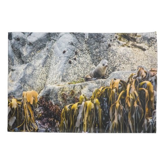 岩の上の若い毛皮のシール 枕カバー (裏面)