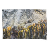 岩の上の若い毛皮のシール 枕カバー (正面)