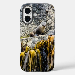岩の上の若い毛皮のシール iPhone 16ケース