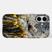 岩の上の若い毛皮のシール Case-Mate iPhoneケース (裏面 (横))