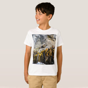 岩の上の若い毛皮のシール Tシャツ