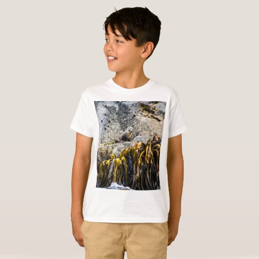 岩の上の若い毛皮のシール Tシャツ (正面フル)