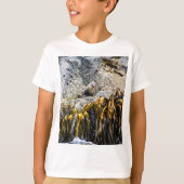 岩の上の若い毛皮のシール Tシャツ (正面)