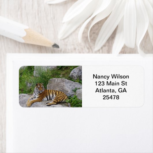 岩の上の虎 ラベル (インサイチュ)