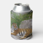 岩の上の虎 缶クーラー (缶正面)