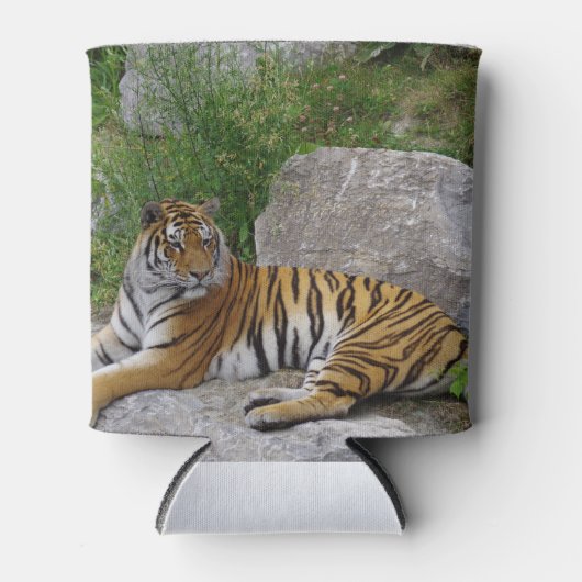 岩の上の虎 缶クーラー (正面)