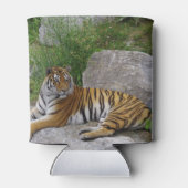 岩の上の虎 缶クーラー (裏面)