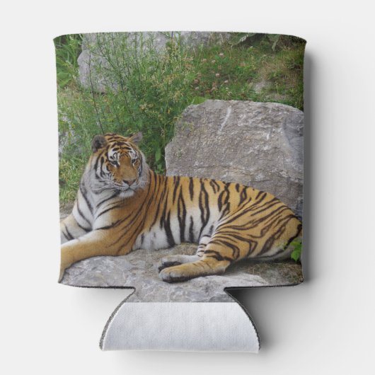 岩の上の虎 缶クーラー (裏面)