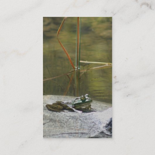 岩の上の蛙 – 自然写真名刺 名刺 (裏面)