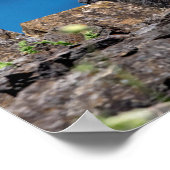 岩の上の20x16オスプレイ ポスター (角)