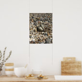 岩の中の卵を殺すポスター ポスター (キッチン)