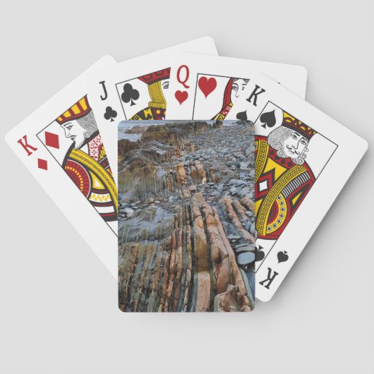 岩の多いビーチトランプ トランプ (裏面)
