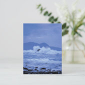岩の多い海岸に衝突する荒波 ポストカード (スタンド正面)