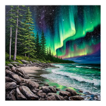 岩の多い海岸線の上の北の光