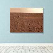 岩の多い火星 キャンバスプリント (インサイチュ (ウッドフロア))