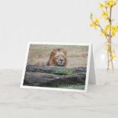 岩の後ろのライオン カード (黄色い花)