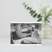 岩の木 ポストカード (スタンド正面)