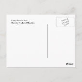 岩の毛虫 ポストカード (裏面)