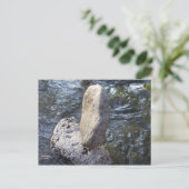 岩の渦 ポストカード (スタンド正面)