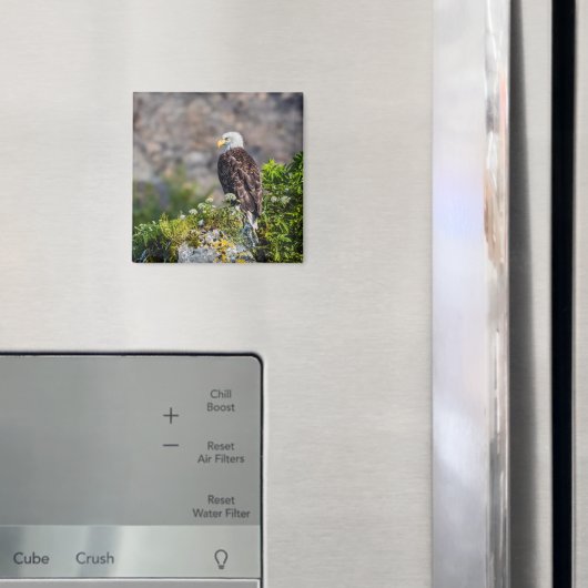 岩の磁石に座っているハゲのワシ マグネット (インサイチュ (冷蔵庫))