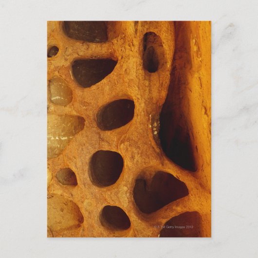 岩の穴 ポストカード (正面)