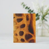 岩の穴 ポストカード (スタンド正面)