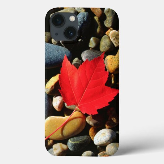 岩の背景のカエデの葉 Case-Mate iPhoneケース (裏面)