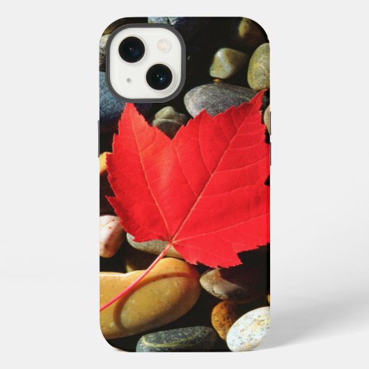 岩の背景のカエデの葉 iPhoneケース (裏面)