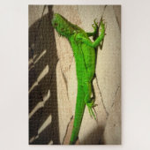 岩の道に緑のイグアナ ジグソーパズル (縦)