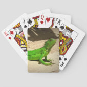 岩の道に緑のイグアナ トランプ (裏面)