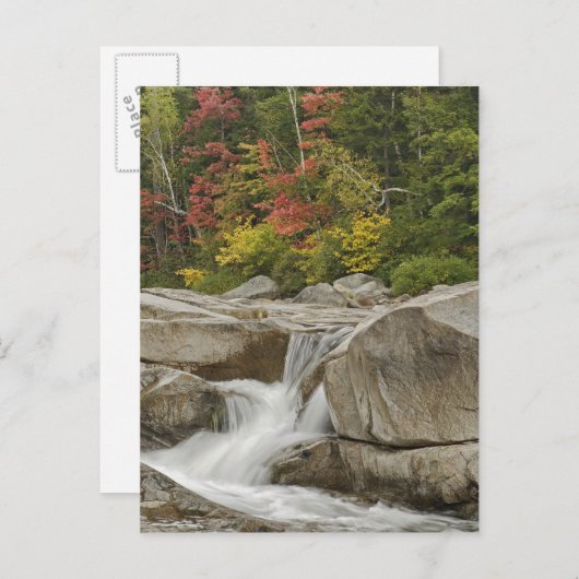 岩の間をカスケードするスウィフト川、白 ポストカード (正面/裏面)