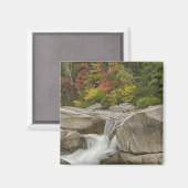岩の間をカスケードするスウィフト川、白 マグネット (正面/裏面)