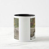 岩の間を流れるスウィフト川 マグカップ (中央)