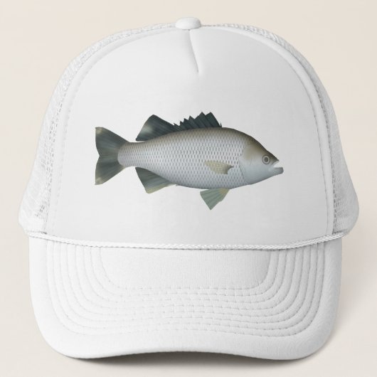 岩の鞭毛 キャップ (正面)