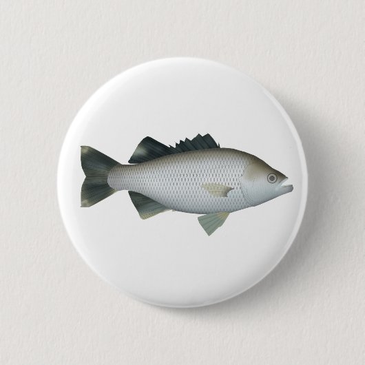 岩の鞭毛 缶バッジ (正面)