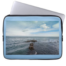 岩の飛んでいる上をカモメする