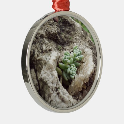 岩は植えられ、良くやっている。:) #succulent メタルオーナメント (右)