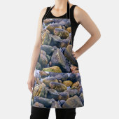 岩カラフル岩 エプロン (インサイチュ)