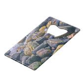 岩カラフル岩 クレジットカード栓抜き (裏面アングル)