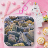 岩カラフル岩 ペーパープレート (パーティー)