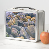 岩カラフル岩 メタルランチボックス (インサイチュ)
